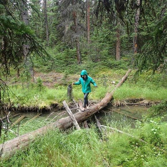 Meet your Posher, Jen - Picture 1 of 1